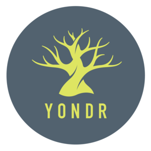 How It Works — Yondr