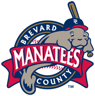 File:BrevardCountyManateesLogo.PNG