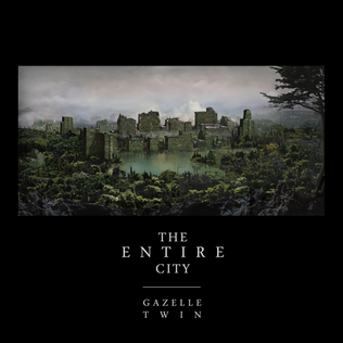 <i>The Entire City</i> 2011 studio album by Gazelle Twin