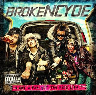 <i>Im Not a Fan, but the Kids Like It!</i> 2009 studio album by Brokencyde