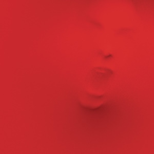 <i>Until We Have Faces</i> 2011 studio album by Red
