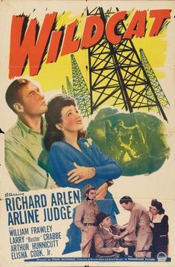 <i>Wildcat</i> (film) 1942 film by Frank McDonald