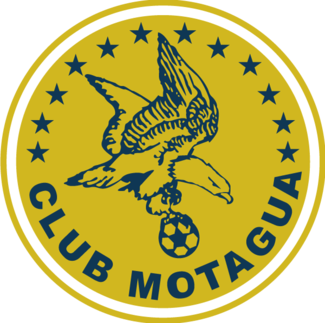 File:CD Motagua logo 2013.png