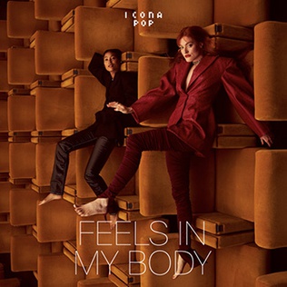 <span class="mw-page-title-main">Feels in My Body</span> 2020 song by Icona Pop