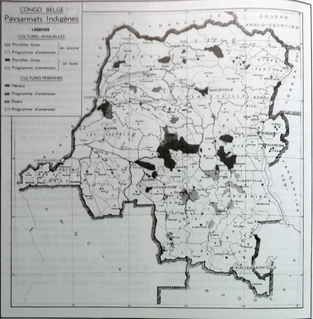 File:Map displaying Indigenous paysannats Belgian Congo (1955).png