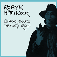 <i>Black Snake Diamond Röle</i> 1981 album by Robyn Hitchcock