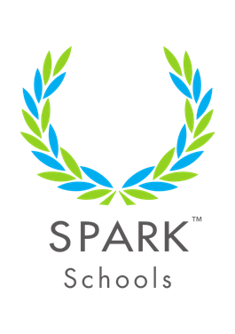 <span class="mw-page-title-main">SPARK Schools</span> School in South Africa