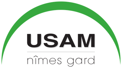 <span class="mw-page-title-main">USAM Nîmes Gard</span> French handball club