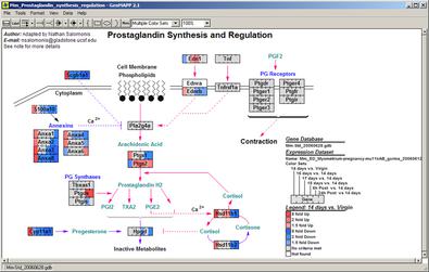 GenMAPP MAPP2.jpg