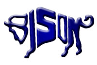 Средняя школа Грейт-Фолс - Монтана - Bison logo.jpg