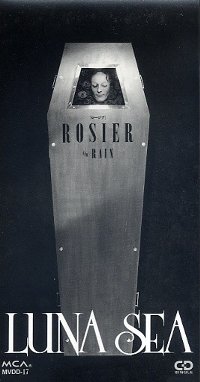 Rosier (song) - Wikipedia