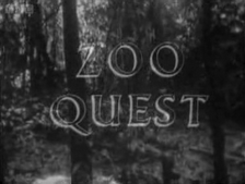 Заглавная карта серии Zoo Quest