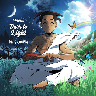 <i>From Dark to Light</i> 2020 mixtape by NLE Choppa