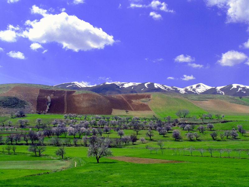 File:IR.Kurdistan.jpg