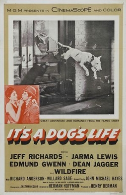 <i>Its a Dogs Life</i> (film) 1955 film