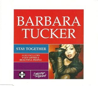 <span class="mw-page-title-main">Stay Together (Barbara Tucker song)</span> 1995 single by Barbara Tucker