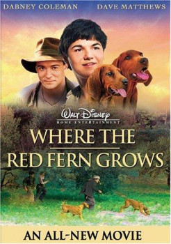 redbone coonhound where the red fern grows