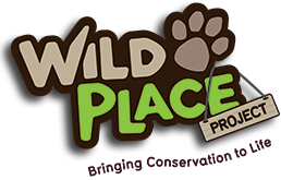 Wild Place Project Wildlife conservation park in South Gloucestershire, England