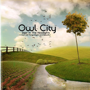 <span class="mw-page-title-main">Deer in the Headlights (song)</span> 2011 promotional single by Owl City