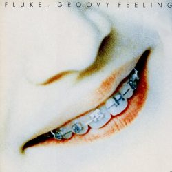 <span class="mw-page-title-main">Groovy Feeling</span> 1993 single by Fluke
