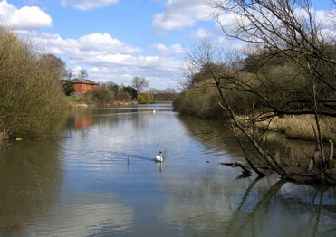 Sutton Mill Dam