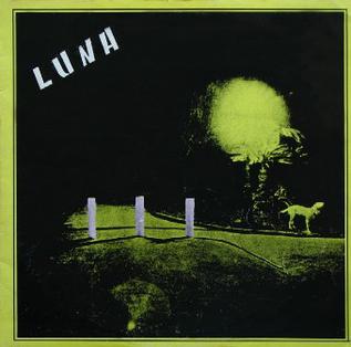 <i>Nestvarne stvari</i> 1984 studio album by Luna