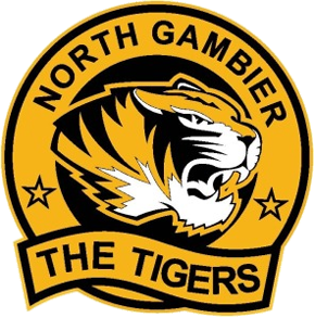 <span class="mw-page-title-main">North Gambier Football Club</span>