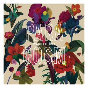 <i>Paracosm</i> (album) 2013 studio album by Washed Out
