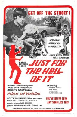 <i>Just for the Hell of It</i> 1968 American film