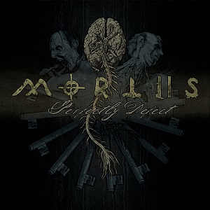 <i>Perfectly Defect</i> 2010 studio album by Mortiis