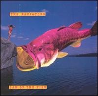 <i>Law of the Fish</i> 1987 studio album by the Radiators