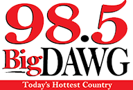 WDWG 98.5BigDAWG logo.png