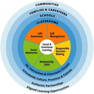 <span class="mw-page-title-main">Social–emotional learning</span> Education practice