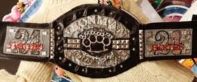 The Ironman Heavymetalweight Championship belt