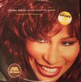 <span class="mw-page-title-main">Never Miss the Water</span> 1996 single by Chaka Khan