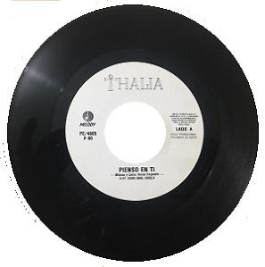 <span class="mw-page-title-main">Pienso en Ti</span> 1990 single by Thalía