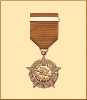 <span class="mw-page-title-main">Bronze Bauhinia Star</span> Hong Kong service award