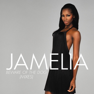 <span class="mw-page-title-main">Beware of the Dog (song)</span> 2006 single by Jamelia