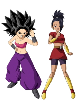 <span class="mw-page-title-main">Caulifla and Kale</span> Female Saiyans from the Dragon Ball franchise