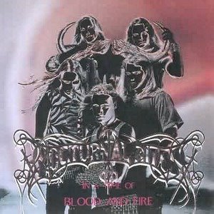 <i>In a Time of Blood and Fire</i> album by Nocturnal Rites