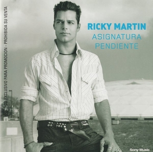 <span class="mw-page-title-main">Asignatura Pendiente</span> 2003 single by Ricky Martin
