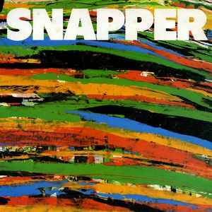 <i>A.D.M.</i> (album) 1996 studio album by Snapper