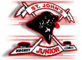 <span class="mw-page-title-main">St. John's Junior Hockey League</span> Junior ice hockey league