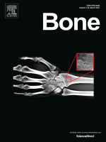 <i>Bone</i> (journal) Academic journal