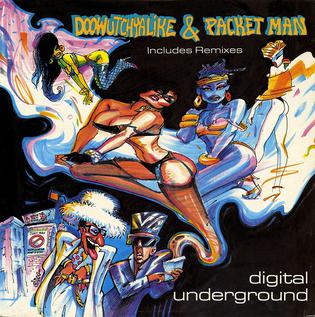 <span class="mw-page-title-main">Doowutchyalike</span> 1989 single by Digital Underground