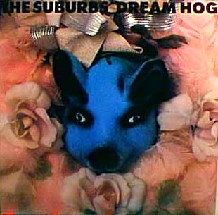 <i>Dream Hog EP</i> 1982 extended play by The Suburbs