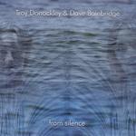 <i>From Silence</i> 2005 studio album by Troy Donockley & Dave Bainbridge