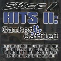 File:Hits II- Ganked & Gaffled.jpg