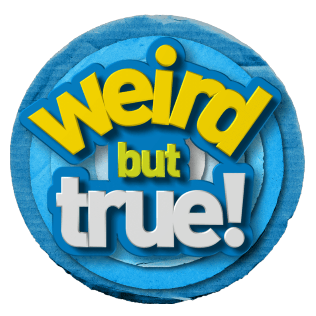 Weird But True! Disney by National Geographic Kids - National Geographic  Kids Books