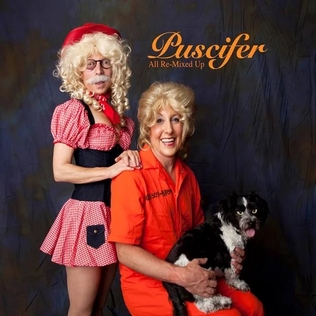 File:Puscifer - All Re-Mixed Up.jpg